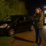 Auto komt in heg op Plantagelaan Barneveld