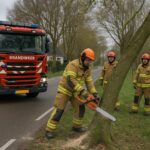 Vrijwillige brandweer verwijdert scheve boom op Kallenbroekerweg Barneveld